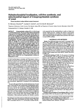 Submitochondrial Localization, Cell-Free Synthesis, And