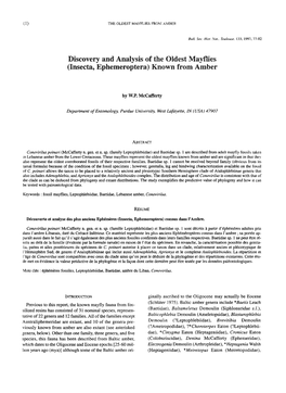 Discovery and Analysis of the Oldest Mayflies (Insecta, Ephemeroptera) Known from Amber