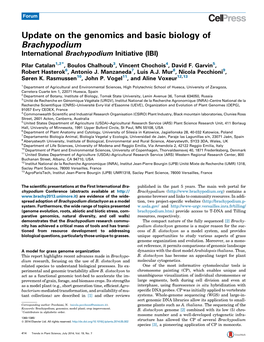 Update on the Genomics and Basic Biology of Brachypodium