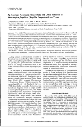 An Aberrant Acephalic Metacestode and Other Parasites of Masticophis Flagellum (Reptilia: Serpentes) from Texas