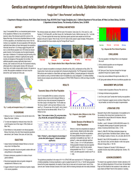 Genetics and Management of Endangered Mohave Tui Chub, Siphateles Bicolor Mohavensis