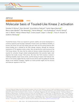 Molecular Basis of Tousled-Like Kinase 2 Activation