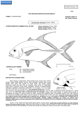 CARANGIDAE FISHING AREA 51 (W. Indian Ocean) Carangoides Oblongus