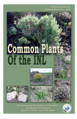 Common Plants of the INL Site