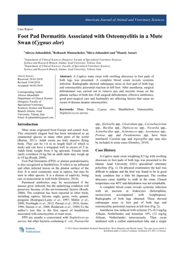 Foot Pad Dermatitis Associated with Osteomyelitis in a Mute Swan (Cygnus Olor)