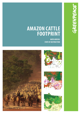 Amazon Cattle Footprint: Mato Grosso
