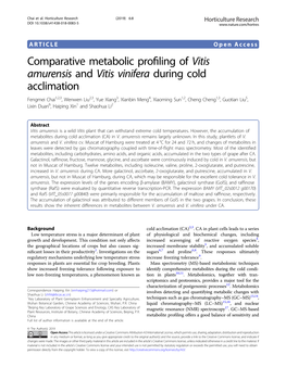 Comparative Metabolic Profiling of Vitis Amurensis and Vitis Vinifera