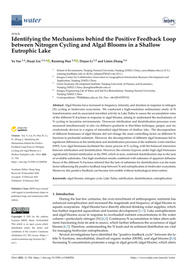 Identifying the Mechanisms Behind the Positive Feedback Loop Between Nitrogen Cycling and Algal Blooms in a Shallow Eutrophic Lake