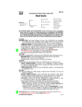 434 Consigned by Select Sales, Agent XXI Red Curls