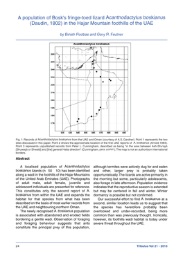 A Population of Bosk's Fringe-Toed Lizard Acanthodactylus Boskianus (Daudin, 1802) in the Hajar Mountain Foothills of the UAE