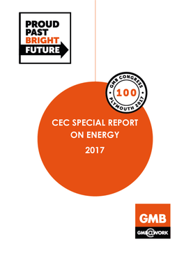 Cec Special Report on Energy 2017 1