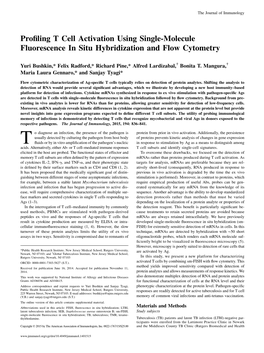 Hybridization and Flow Cytometry Single-Molecule Fluorescence In