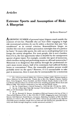 Extreme Sports and Assumption of Risk: a Blueprint