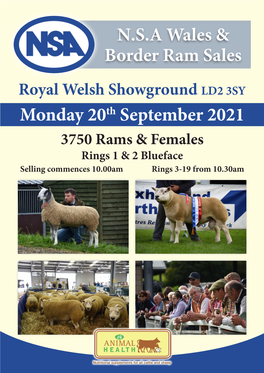N.S.A Wales & Border Ram Sales Monday 20Th September 2021