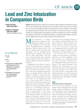 Lead and Zinc Intoxication in Companion Birds