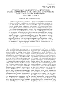 Cyphocharax Pantostictos, a New Species (Pisces: Ostariophysi: Characiformes: Curimatidae) from the Western Portions of the Amazon Basin