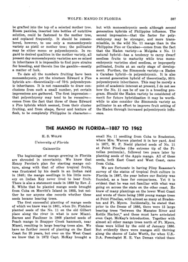 The Mango in Florid A-1887 to 1962