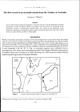 The First Record of an Isocrinid Crinoid from the Tertiary of Australia