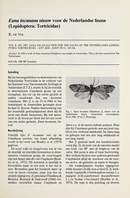 Eana Incanana Nieuw Voor De Nederlandse Fauna (Lepidoptera: Tortricidae)