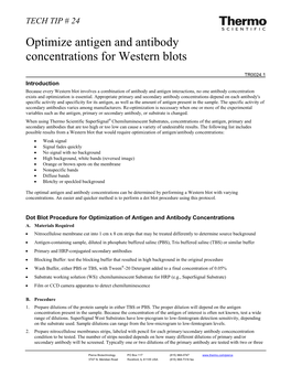 Optimize Antigen and Antibody Concentrations for Western Blots