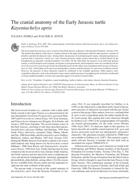 The Cranial Anatomy of the Early Jurassic Turtle Kayentachelys Aprix