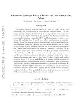 A Survey of Irradiated Pillars, Globules, and Jets in the Carina Nebula P