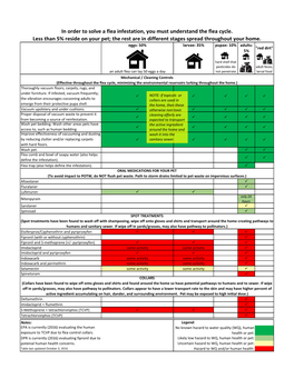 In Order to Solve a Flea Infestation, You Must Understand the Flea Cycle