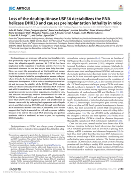 Loss of the Deubiquitinase USP36 Destabilizes the RNA Helicase