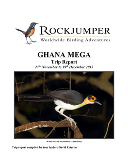 GHANA MEGA Trip Report 27Th November to 19Th December 2013