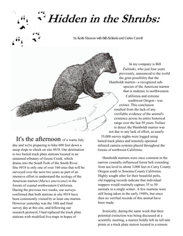 Rediscovery of the Humboldt Marten?