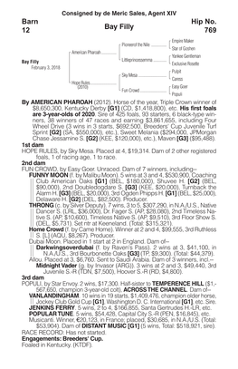 Bay Filly Barn 12 Hip No