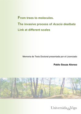 From Trees to Molecules : the Invasive Process of Acacia Dealbata Link At