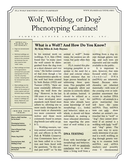 Wolf, Wolfdog, Or Dog? Phenotyping Canines!