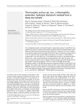 Thermosipho Activus Sp. Nov., a Thermophilic, Anaerobic, Hydrolytic Bacterium Isolated from a Deep-Sea Sample