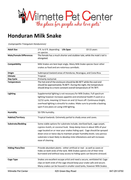 Honduran Milk Snake