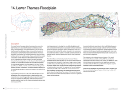 14. Lower Thames Floodplain