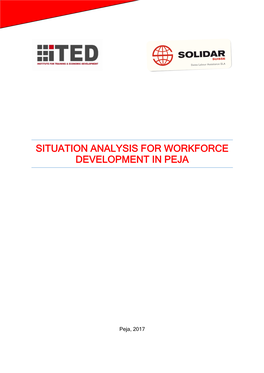 Situation Analysis for Workforce Development in Peja