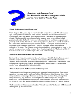 Questions and Answers About the Kootenai River White Sturgeon and the Interim Final Critical Habitat Rule