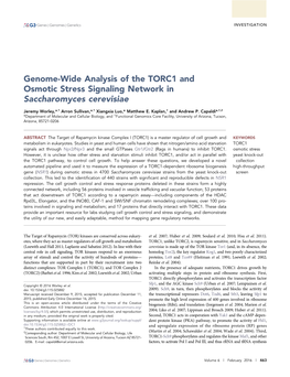 Genome-Wide Analysis of the TORC1 and Osmotic Stress Signaling Network in Saccharomyces Cerevisiae