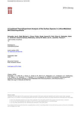 A Combined Theoryexperiment Analysis of the Surface Species in Lithiummediated NH3 Electrosynthesis