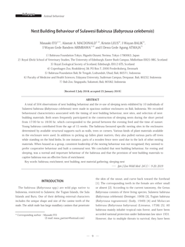 Nest Building Behaviour of Sulawesi Babirusa (Babyrousa Celebensis)