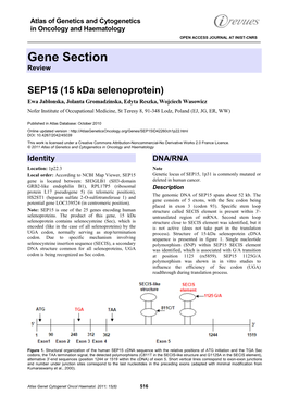 Gene Section Review