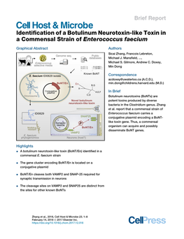 Identification of a Botulinum Neurotoxin-Like Toxin in A