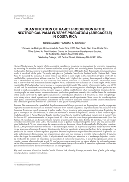 Quantification of Ramet Production in the Neotropical Palm Euterpe Precatoria (Arecaceae) in Costa Rica