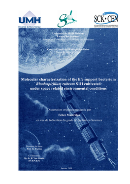 Molecular Characterization of the Life Support Bacterium Rhodospirillum Rubrum S1H Cultivated Under Space Related Environmental Conditions