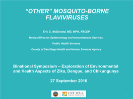 “Other” Mosquito-Borne Flaviviruses