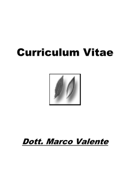 Cv Marco Valente