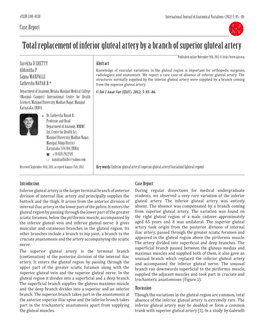 Total Replacement of Inferior Gluteal Artery by a Branch of Superior Gluteal Artery