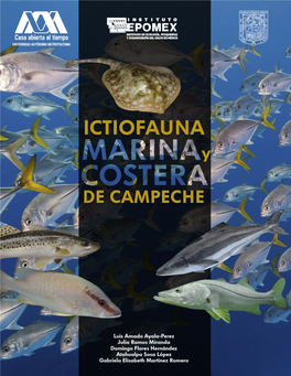 Ictiofauna Marina Y Costera De Campeche