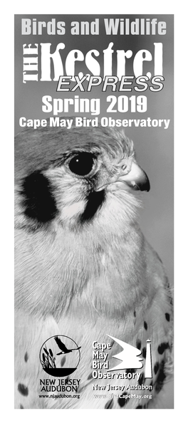 Spring 2019 Cape May Bird Observatory